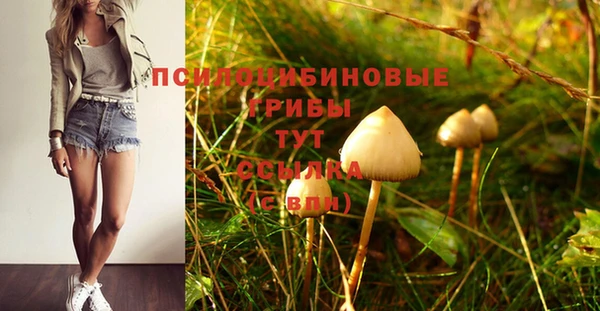 а пвп мука Кулебаки